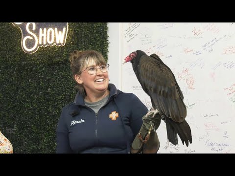 Ep. 102 - A Turkey Vulture is Live in Studio! Plus Limericks, Things to Do and More